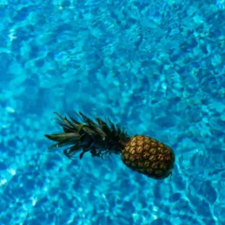 Falcone Resident ニキティ