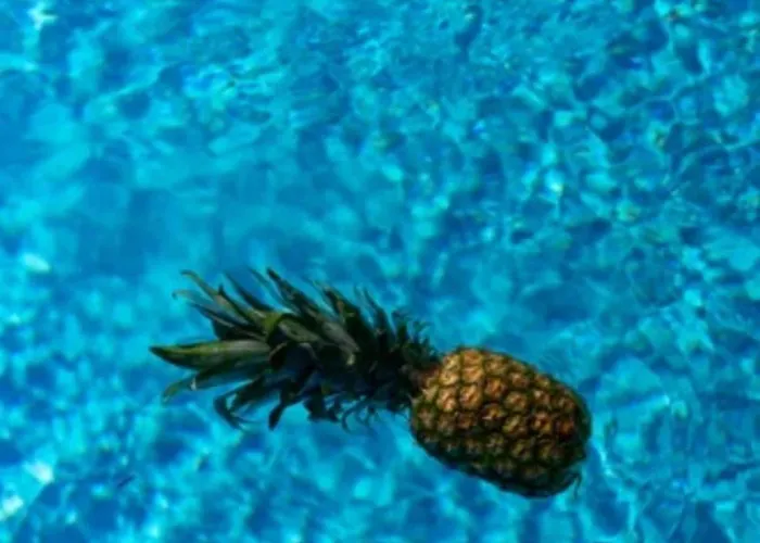 Falcone Resident Nikiti (Sithonia)